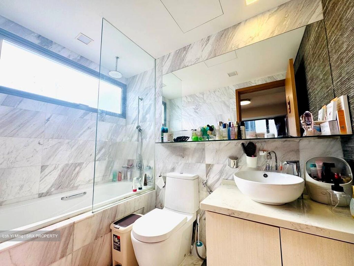 Vista Residences (D12), Condominium #462998561